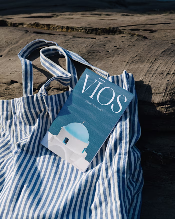 Custom web design | development for VIOS 