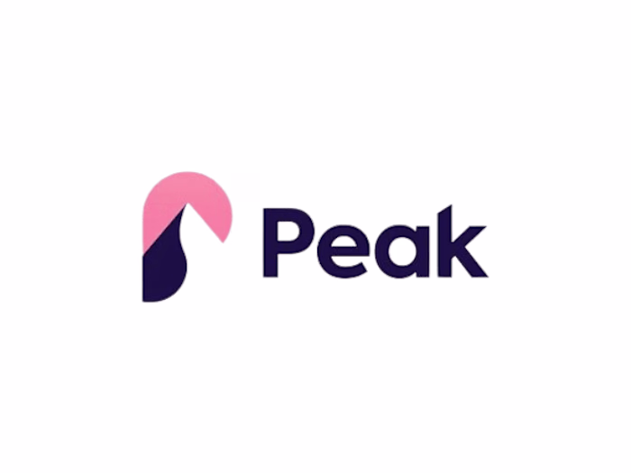Custom Minimalist Business Logo Design 
