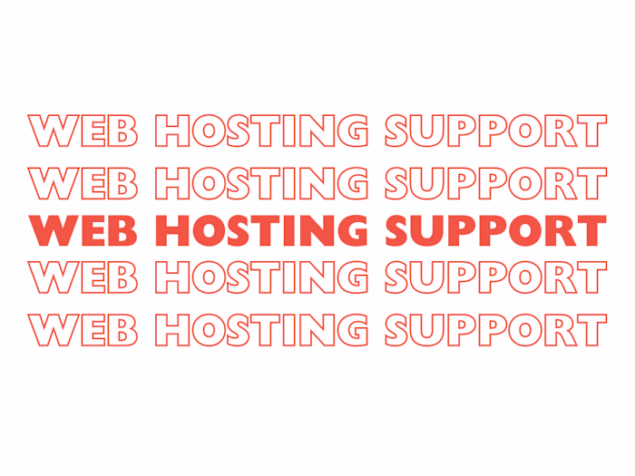 Web Hosting Support