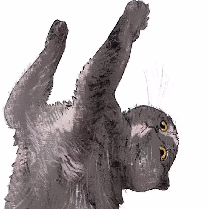 Character or animal illustration