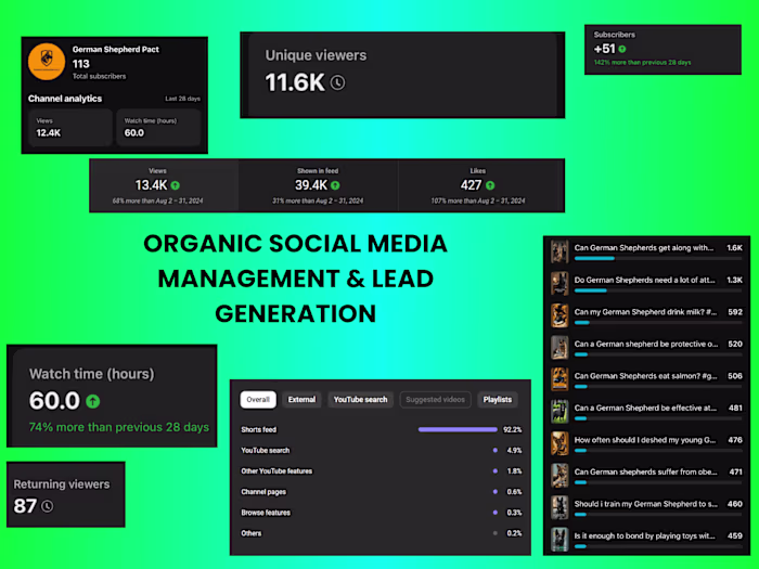 Organic YouTube Shorts Marketing for eCommerce Brand Growth