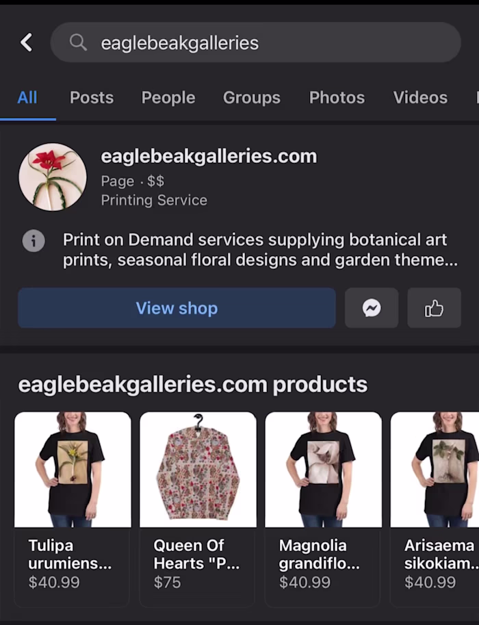 Wordpress E-commerce Website Development