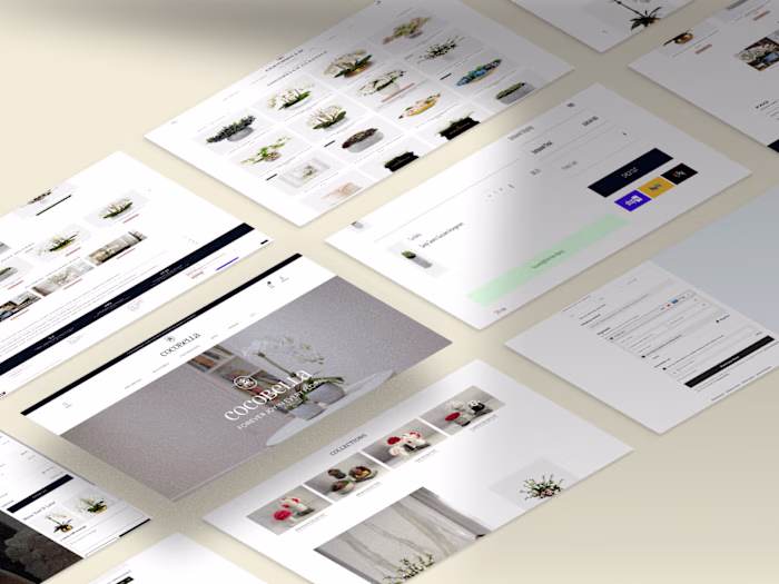 Shopify Store Development with Advanced Customization