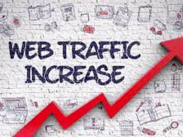 Royex System | Seo Consultant for 8+ Years