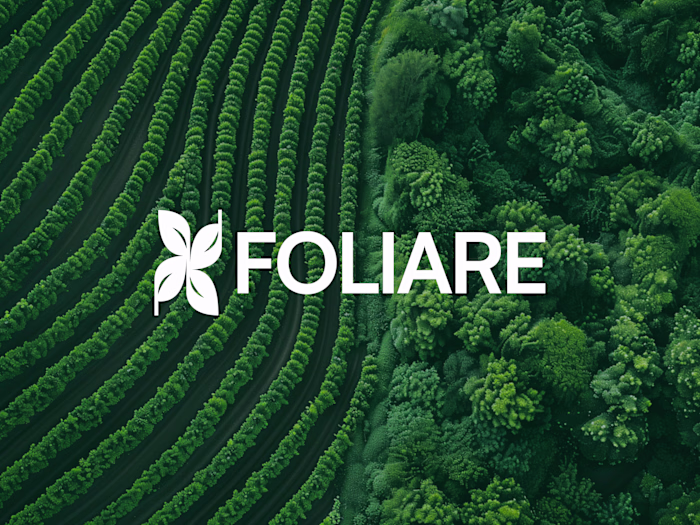 Express brand design for FOLIARE. A more human and intention...
