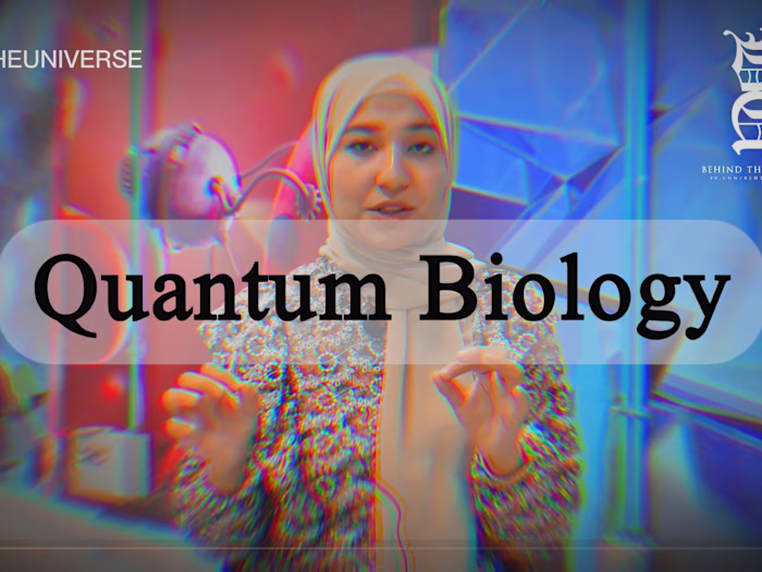 Metaphorism (Scientific Phenomenon)