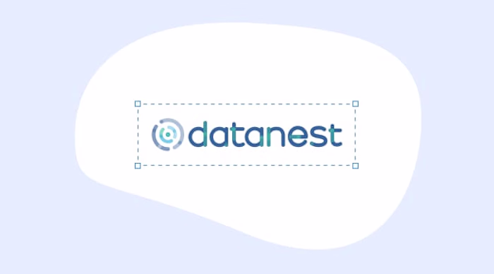 Datanest Case Study | What IF Web
