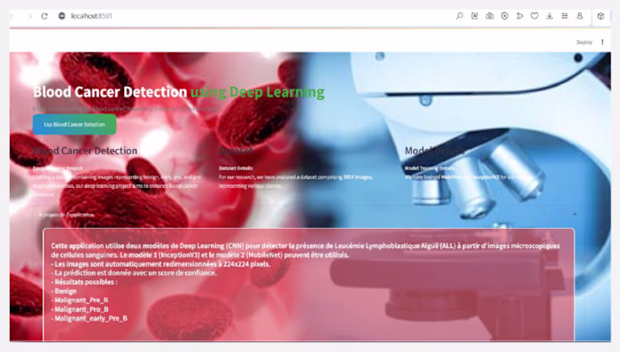 Blood Cancer Detection