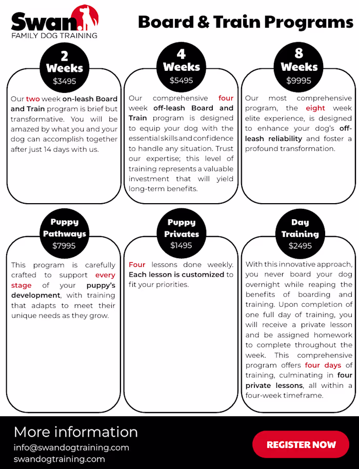 Flyer Design for Dog Training & Boarding Business