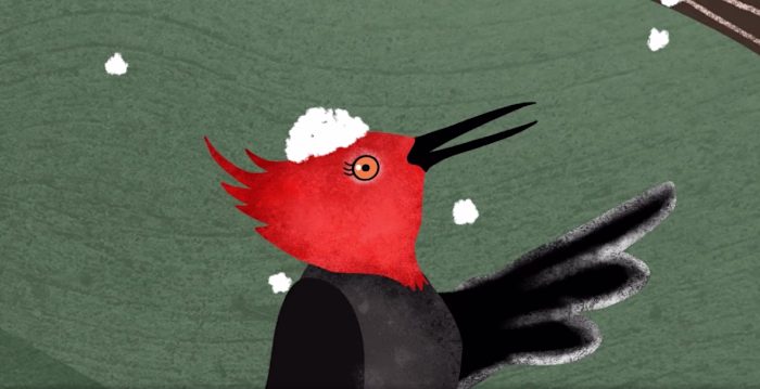 A 4-episode series that showcases