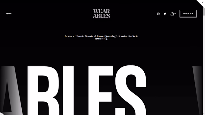 Website design