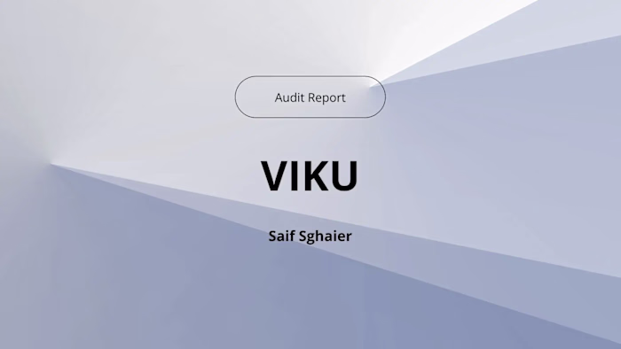 Audit Report: Viku Project