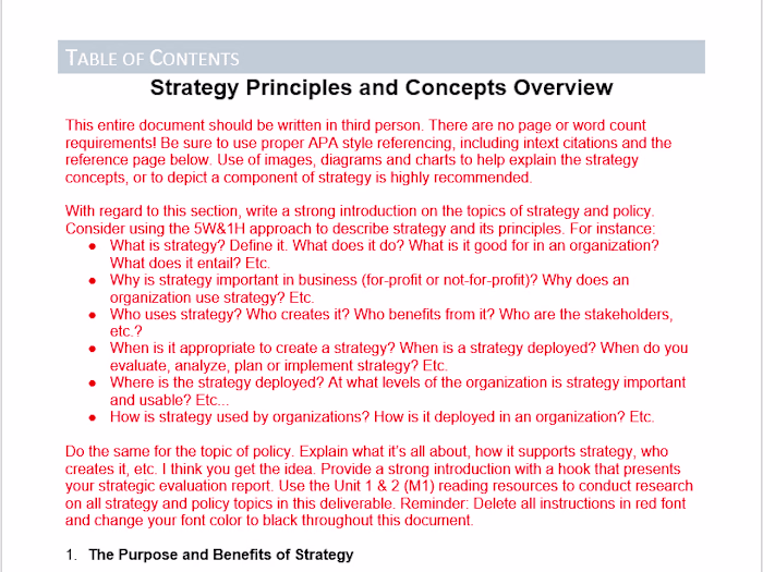 Developing a Strategic Evaluation Report for an organization