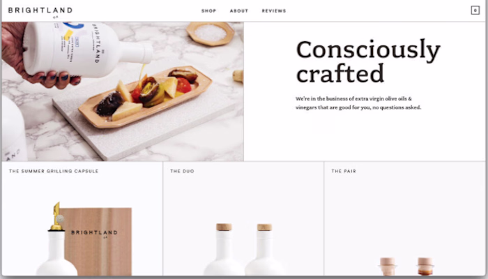 Shopify Website Redesign :: Behance