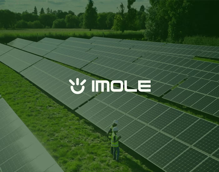 Imole Energy Branding case study