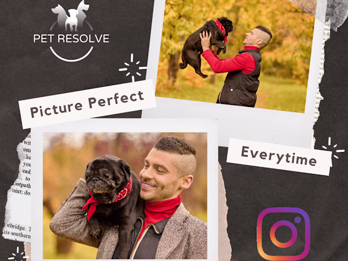 Graphic Designs and Social Media Content Creation