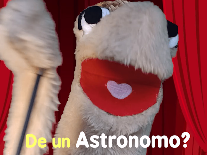 Short vertical videos.