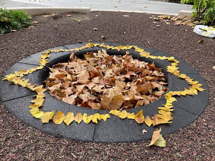 UX of Yellow - Week 5