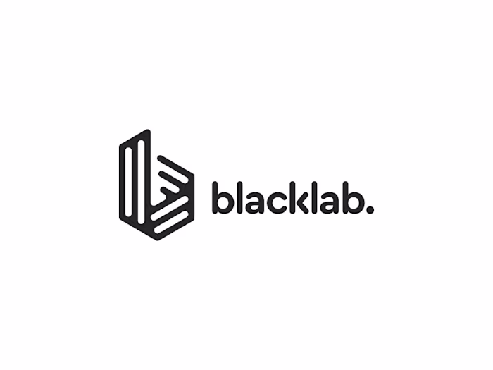black lab. ventures