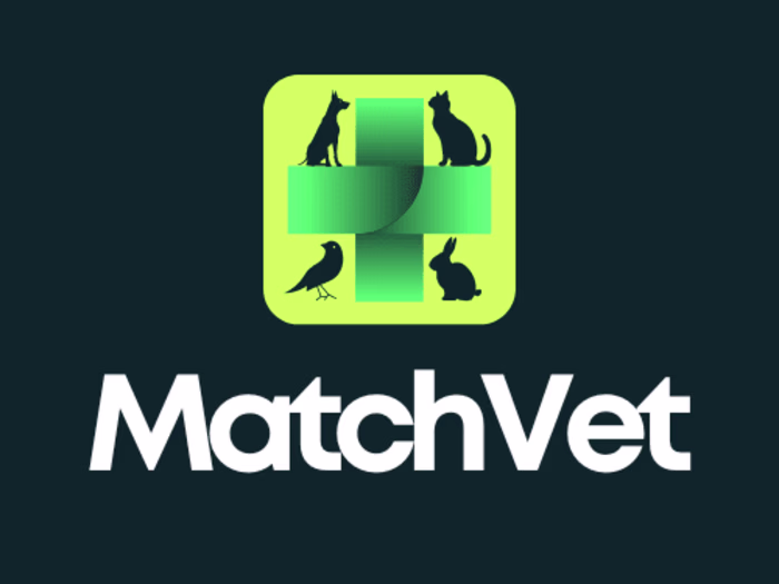 Logo Creation for Startup Business