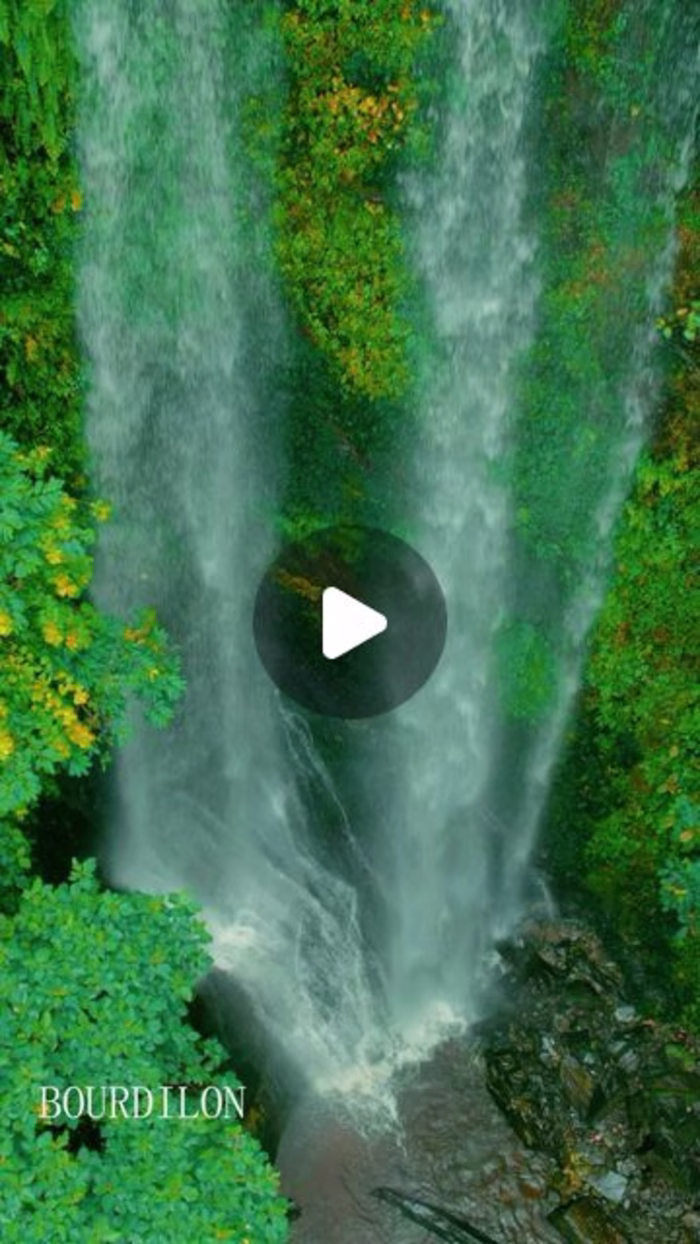 Bourdilon🇳🇬 on Instagram: “Living spring
#bourdilon_films #sp…