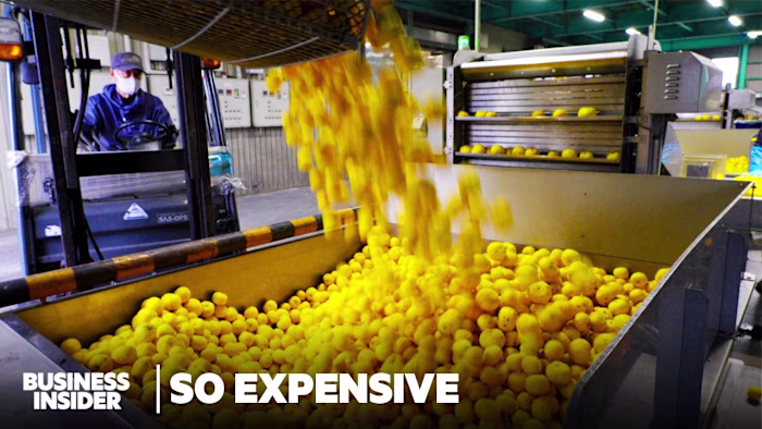 Japan Harvests 27,000 Tons Of Yuzu. So Why Can't The US Import …