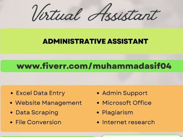 I will be your task administrative and data entry virtual assist