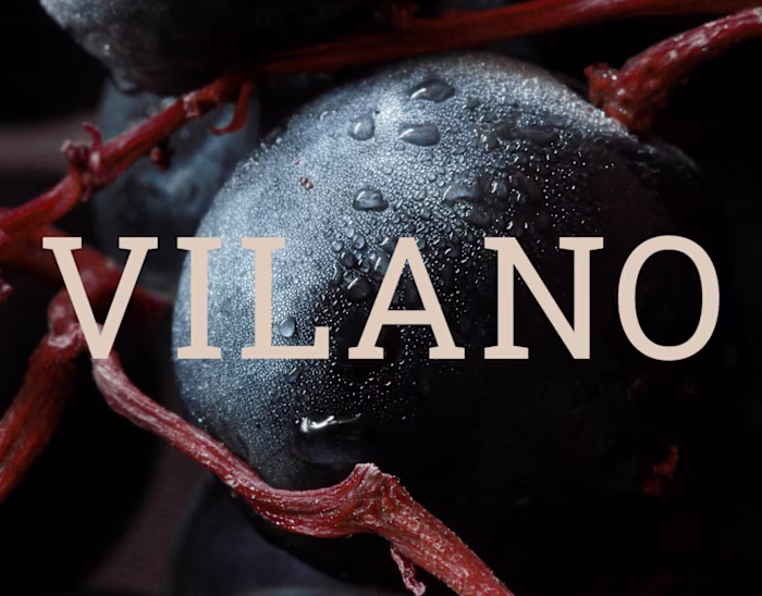 Timeless identity and a seamless website experience