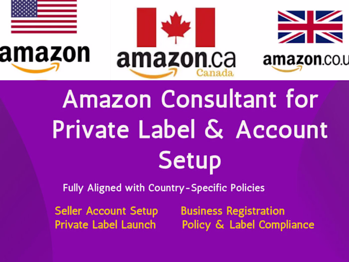 I will be your amazon fba private label consultant