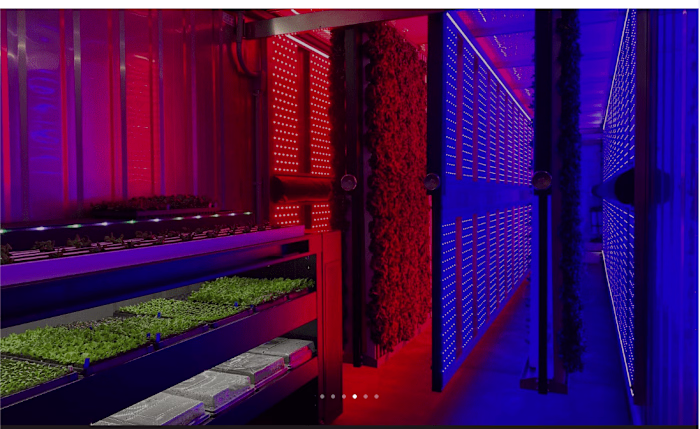 Mobile Team Lead | Mission to Revolutionize Local Food Access