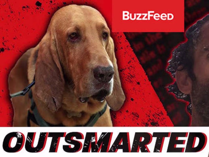 I Tried Escaping A Bloodhound - BuzzFeed
