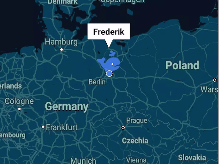 Whale, a social geolocation app.