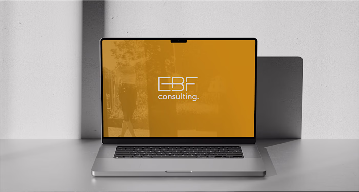 EBF consulting. - Brand identity