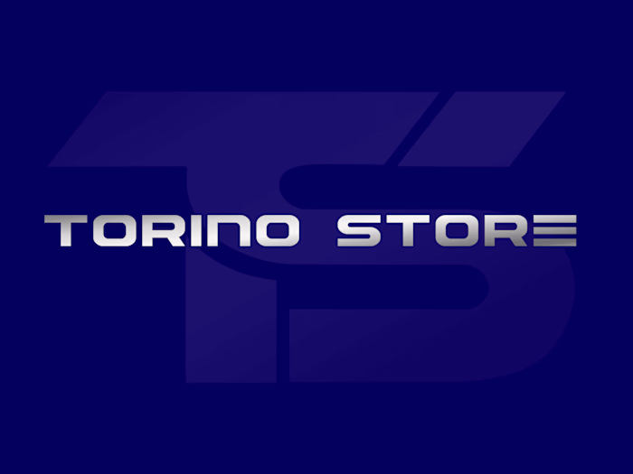 Logo Design/ Torino Store