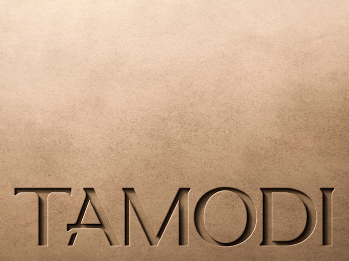 Snapshot of the visual identity we crafted for Tamodi.