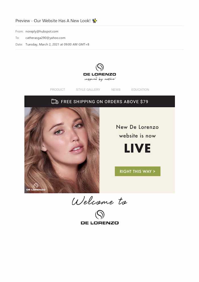De Lorenzo Website Launch