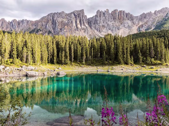 Purposeful Living: A Guide To Alignment