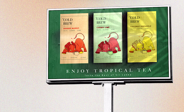 ° Cold Brew - Tea Packaging Redesign