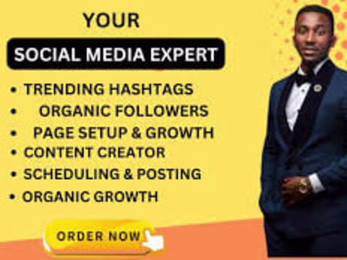 Do TikTok ads, Facebook ads, Instagram management 