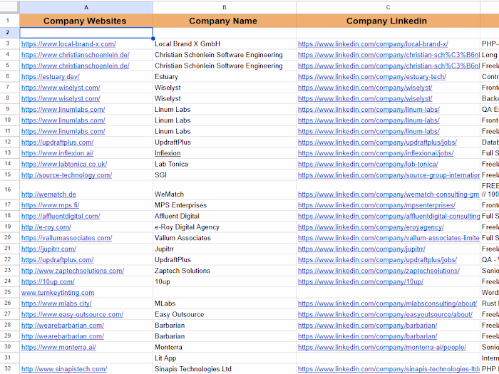 Client Engagement for Freelance Software Development Projects
