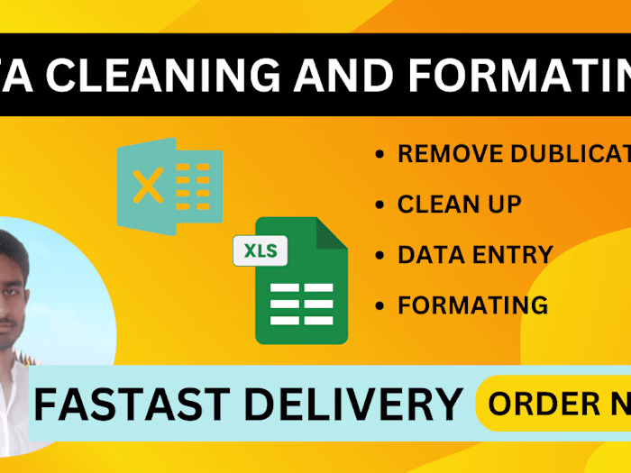 I will clean, format, and organize your messy data in excel 