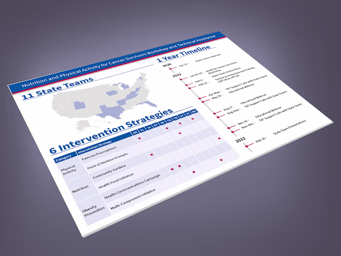 Infographics to Show Project Progress