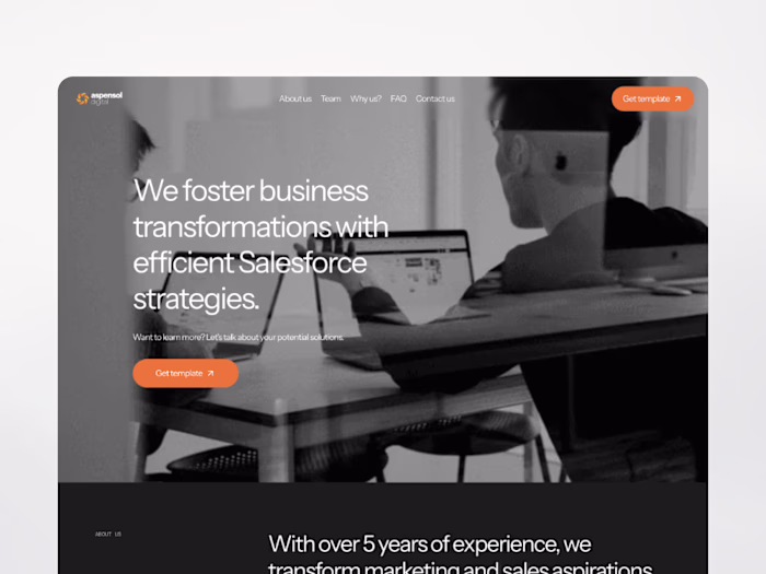 Aspensol | Design & Framer Development