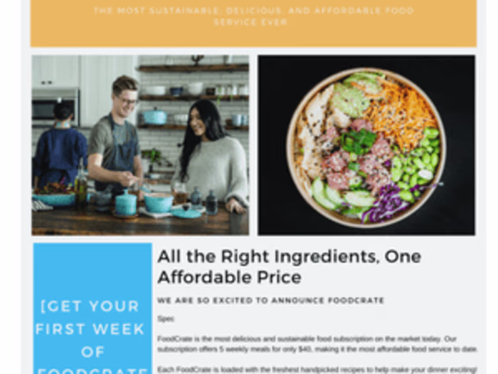 Email Marketing - Introductory Email