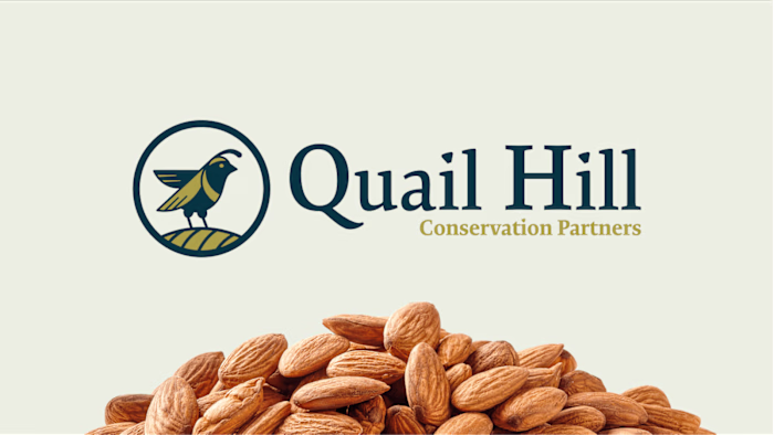 Blue Cyclops | Quail Hill