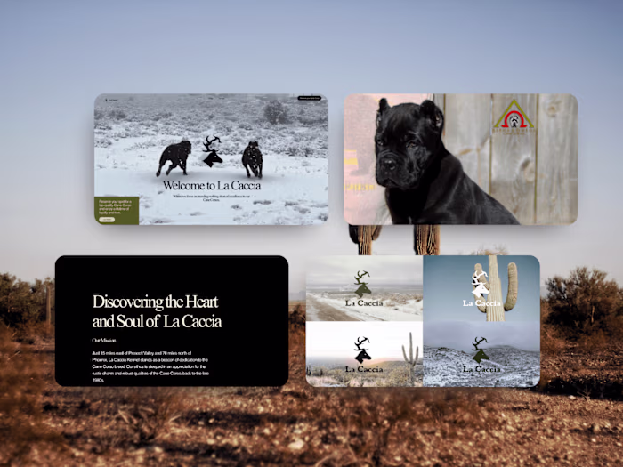 Website Design & Development