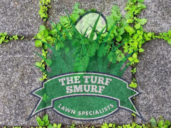 Case Study (The Turf Smurf) — Bulletinbox