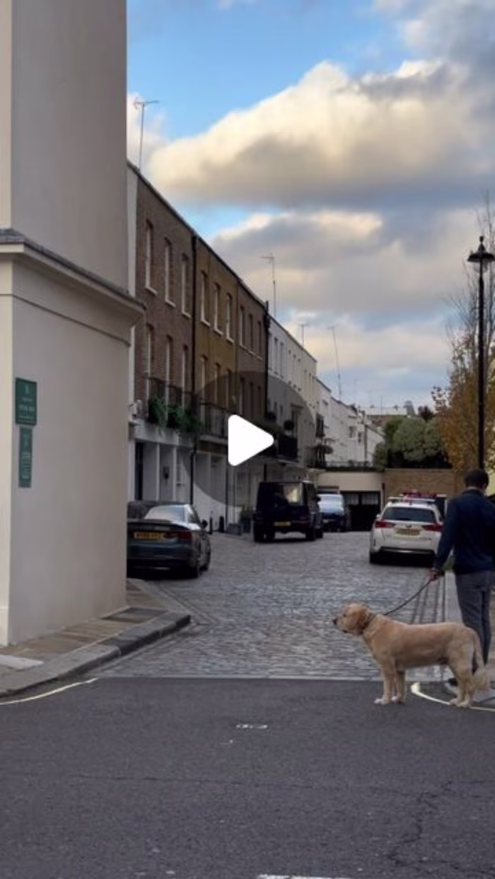 Travel Video: Aesthetic Corners of London