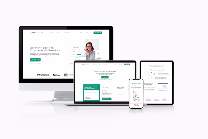 Amber Engine: Revolutionizing B2B E-Commerce SaaS
