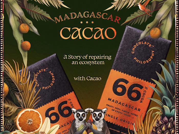 Brand Identity - Chocolate Philosophy